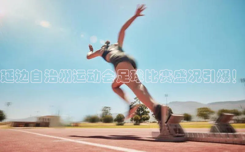 球盟体育下载app颐驰 06
