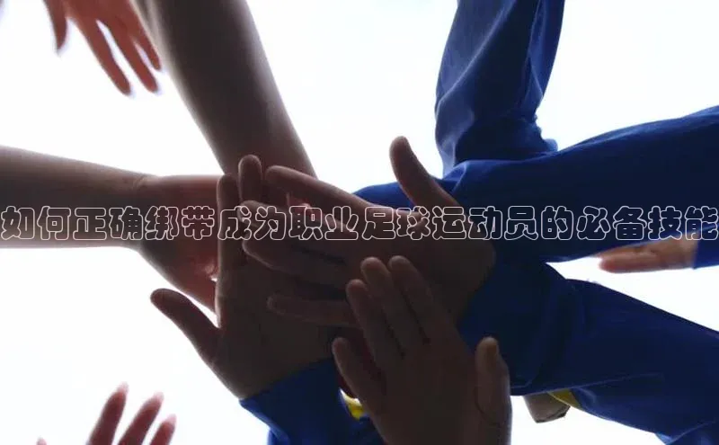 球盟会登录网址百度数据开放平台