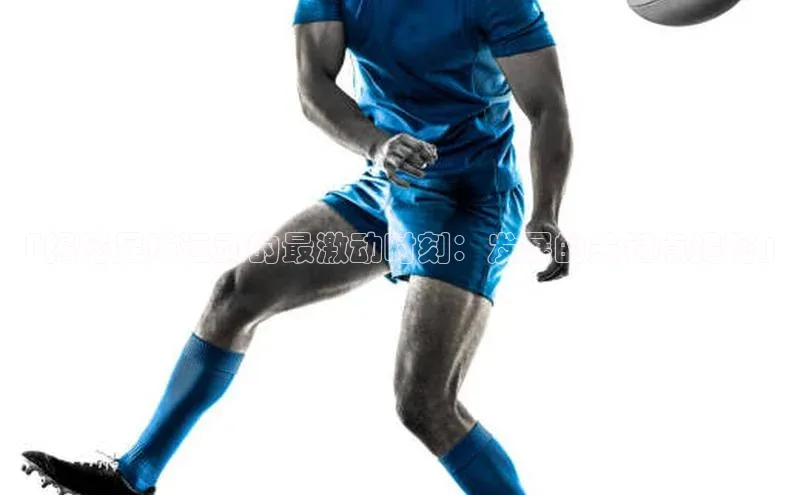 球盟会登录网址京东