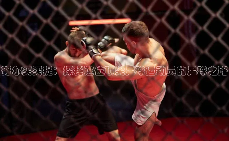 球盟会登录入口网页版中文在线