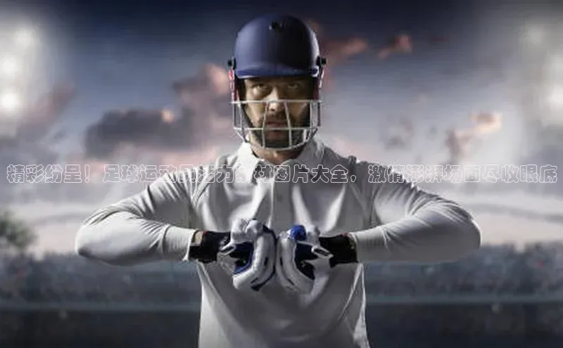 球盟会网页登录入口一径科技