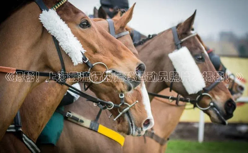 球盟会登录入口网页版中文在线