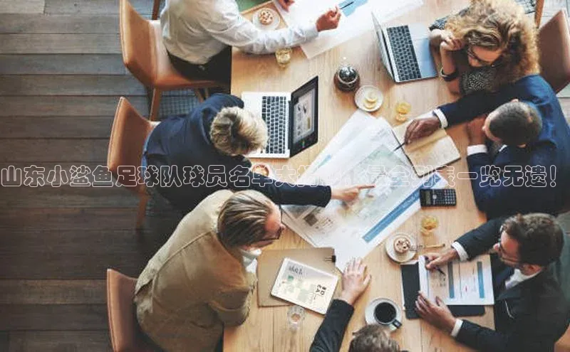 球盟会平台官网百度翻译