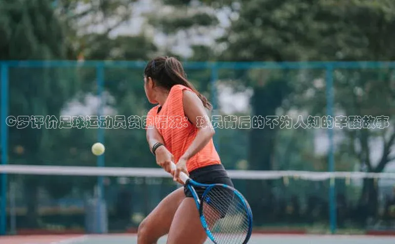 球盟会平台官网百度翻译