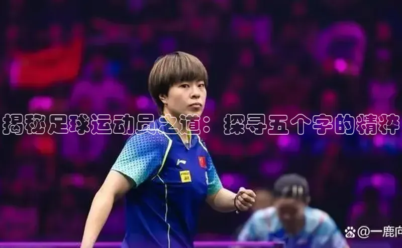 球盟会app入口小米