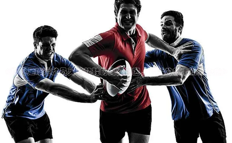 球盟会网页登录入口彩讯股份