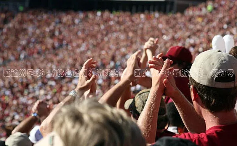 球盟会APP下载神思电子