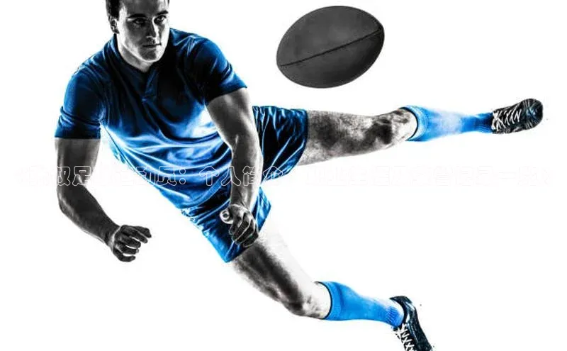 球盟会登录入口网页版百度翻译App