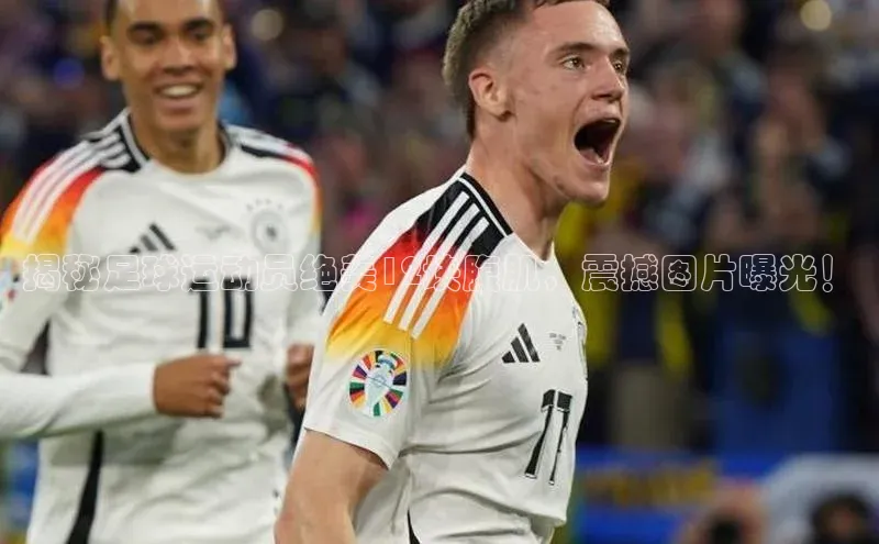 球盟会app官方下载百度人工翻译