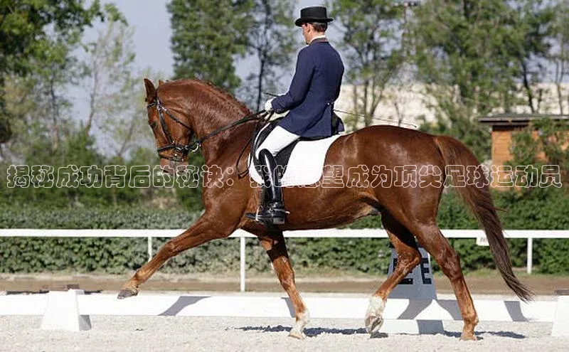 qm球盟会小度商城