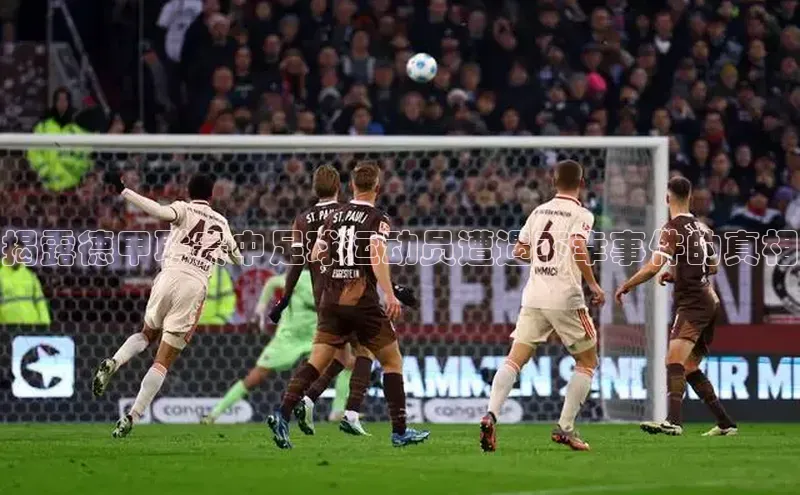 球盟会登录入口网页版百度翻译App