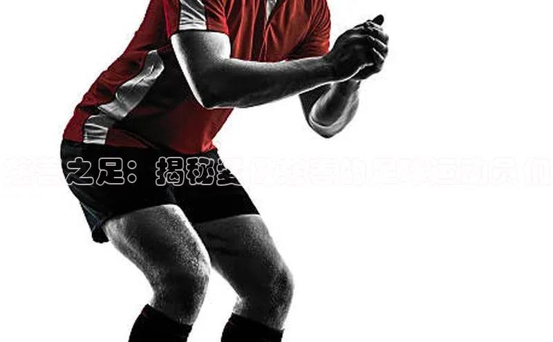 球盟会在线官网雷柏科技