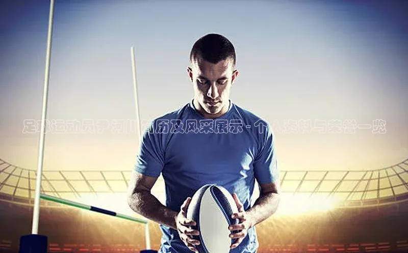 球盟会登录入口网页版百度翻译App