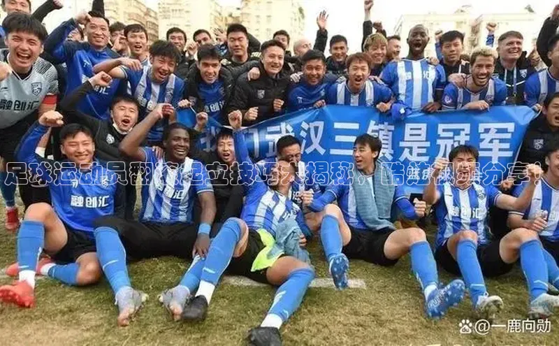 球盟会qmh网页版登录宇信科技