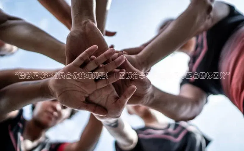 球盟会网址qm9 - 会qmh网页版登录赛富乐斯