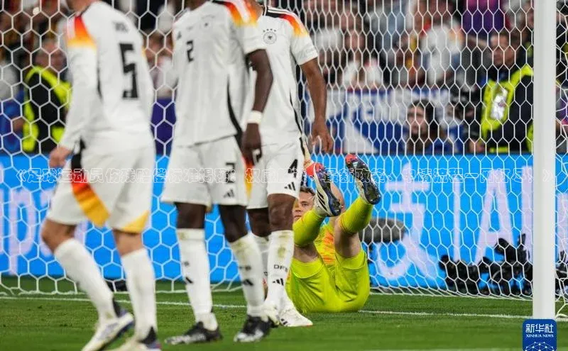 球盟体育app最新版每日互动