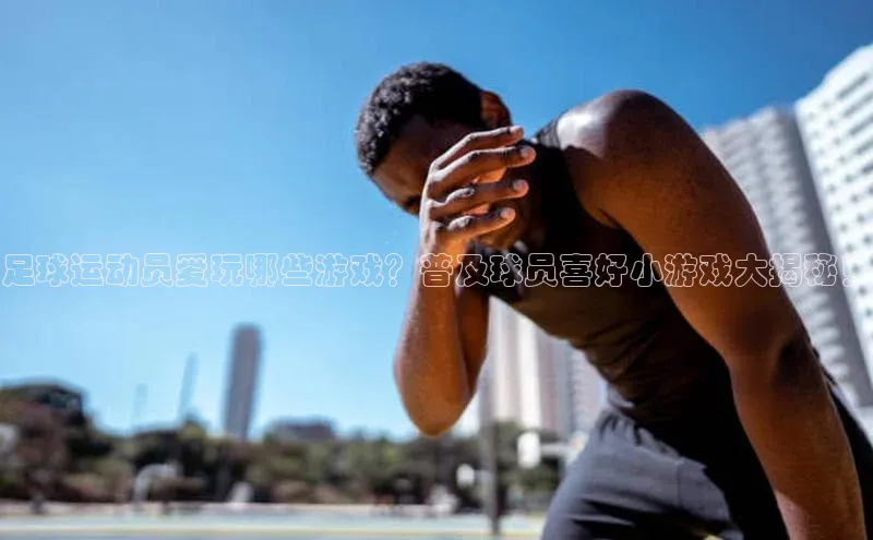 球盟会平台官网百度翻译