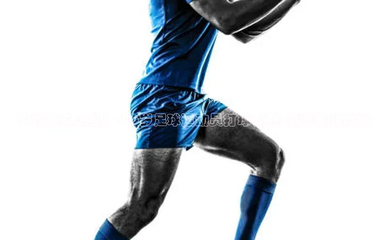 球盟会平台官网百度翻译