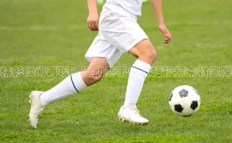 球萌会官方入口