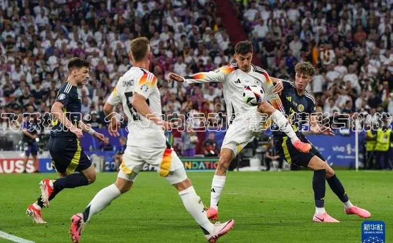 球盟会登录网址