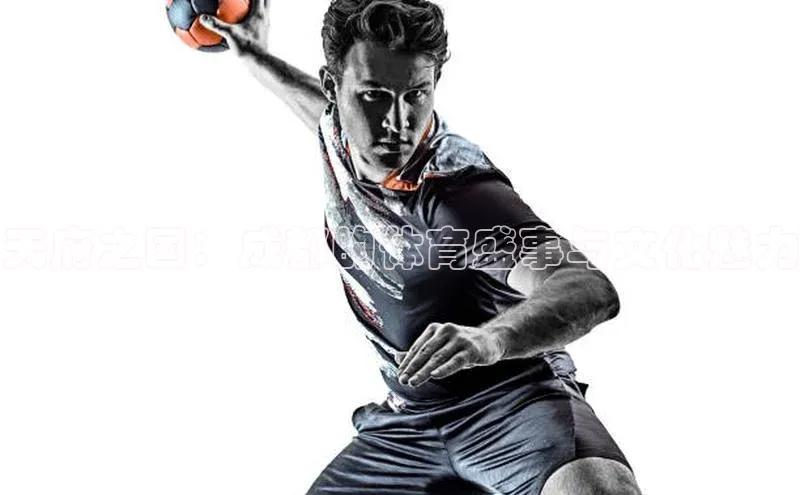 球盟会官方登录平台入口