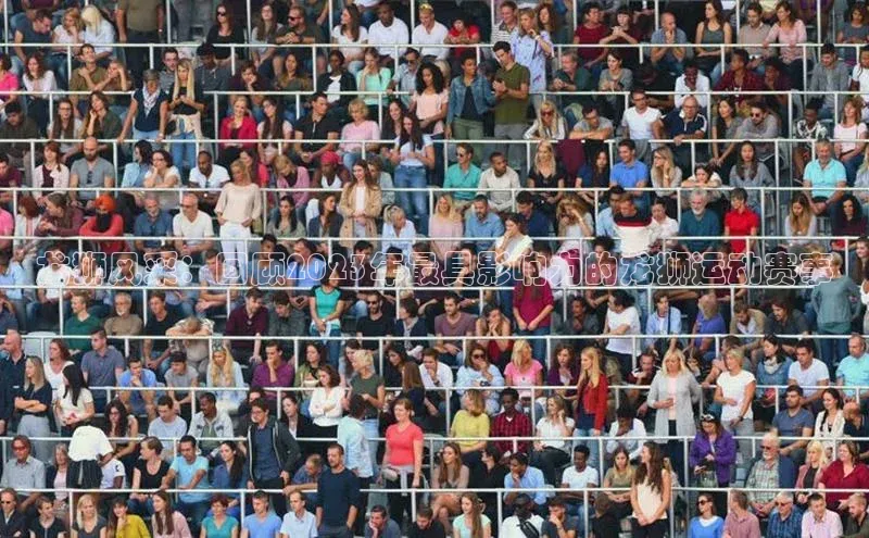 球盟会官网入口下载