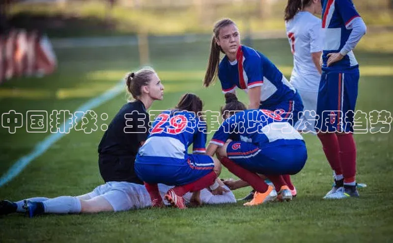 球盟会登录入口网页版