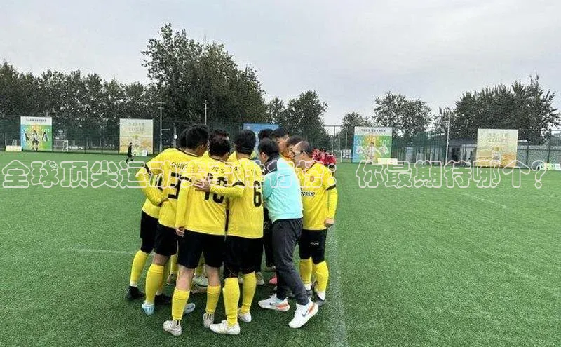 球盟会官网入口下载